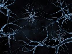 Nerves, HD1080, NTSC, PAL Stock Footage