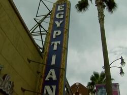 'Balls of Fury' Los Angeles Premiere Stock Footage