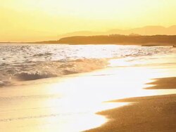 Golden sunset beach Stock Footage