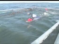 Jennifer Figge has conquered more than 3,000 miles running and crossed almost 25 channels swimming. But nothing compares to her latest endeavor: become the first woman on record to swim the Atlantic Ocean. News Clip