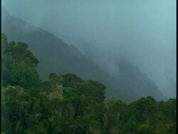 WA mist moving on jungle covered mountainside, Uganda, Africa Stock Footage