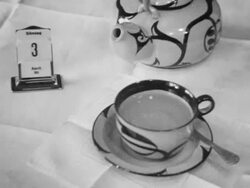 Imported alcohol comes to Finland after dry law is repealed Stock Footage