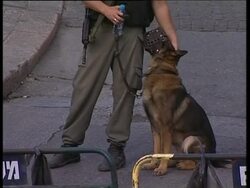 WRAP  Heavy security amid fears of rising tension; ADDS checkpoints, Ramallah News Clip