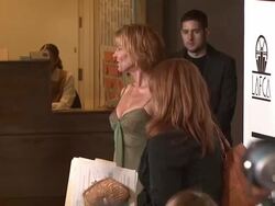 LA Film Critics Awards Stock Footage