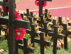 Crosses and poppies in remembrance graveyard Stock Footage