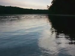 Walden Pond, Concord, Massachusetts, dawn, low angle, reflections on rippling water, swimmers in pond Stock Footage