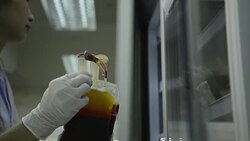 Asia medical technician woman doing quality control of blood bag during storage refrigerator in laboratory hospital Stock Footage