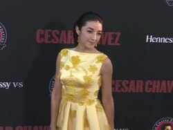 Yvette Yates - "Cesar Chavez" Los Angeles Premiere Stock Footage