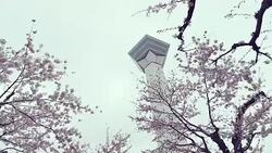 Goryokaku Tower Hakodate in Japan Stock Footage