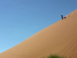 two humans run down a dune   - Duene_rennen Stock Footage