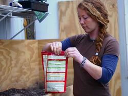 MS SLO MO Shot of young red haired woman in greenhouse, preparing soil for planting / Chatham, Michigan, United States Stock Footage