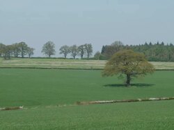 T/L clouds over Long Compton wheat fields, early May, UK - matches framing of TS307 to TS312 Stock Footage
