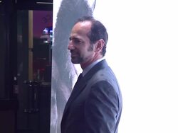 Where The Wild Things Are Premiere Stock Footage