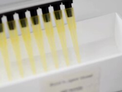 close up : mixing sample on long tray Stock Footage