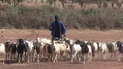 CLEAN : Reconstruction needed News Clip