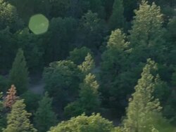 Mountain forest with gravel road Stock Footage