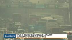 Asean Banks Not Responding Fast Enough to Climate Change: WWF News Clip