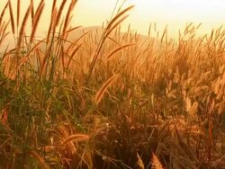 Sunrise or sunset over mountain. Stock Footage