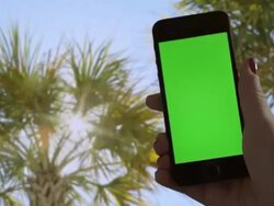 Selfie Self portriat Palm trees sunset Female One Person Stock Footage