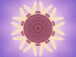 Looping Kaleidoscope Stock Footage