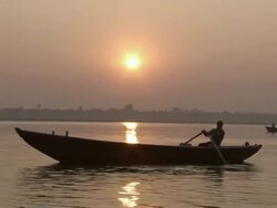 WS ZO PAN Man rowing boat on river / India Stock Footage