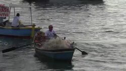 Rio waterways still filthy 1 year after Olympics Instructional Video