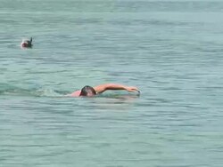 HD: Lake Swimmers Stock Footage