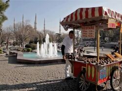 CORN AND CHESTNUT SELLER WITH CART Stock Footage