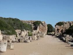 Selinunte, Acropolis, view of the north gate Stock Footage