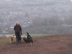 Women Walking Dogs at Arthur's Seat News Clip