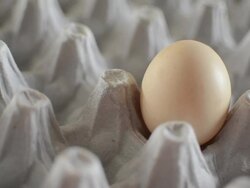 egg Stock Footage