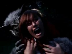 Wolf and Little Red Ridding Hood Stock Footage
