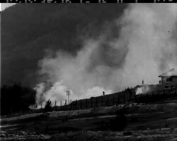 MALAYA - NO SOUND News Clip