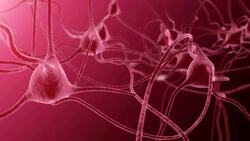 Cell Reproduction Introduction Instructional Video