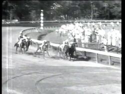 Horse Racing, Korea, Miss Universe News Clip