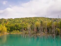 Blue pond Stock Footage