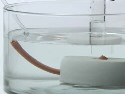 Collection of hydrogen gas. The gas has been produced by the action of hydrochloric acid on magnesium metal in a test tube. The gas is passed through a tube into a water bath, where it is collected in an inverted test tube Stock Footage