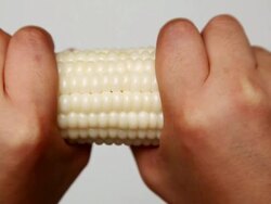 ECU Hands cutting Corn in half / Seoul, South Korea  Stock Footage