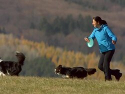 HD Super Slow-Mo: Woman And Dogs Playing With Plastic Disk Stock Footage