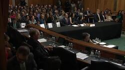 US lawmakers question 'end game' for Trump tariffs News Clip