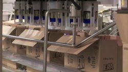 Chemical Engineer - Anita Kalathil Instructional Video