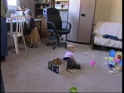 Israeli settlers to be removed from disputed house in Hebron News Clip