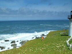 Point Montara Lighthouse Stock Footage
