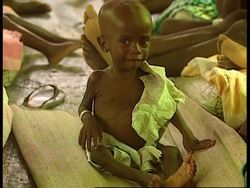 Sierra Leone - Fears Of Famine News Clip