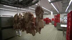 Shanks of meat hang from hooks in a sausage-making facility. Stock Footage