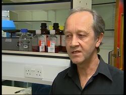 Scientists think they will have birdflu vaccine within weeks News Clip