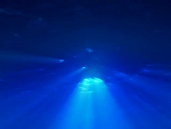 Underwater Loop Stock Footage