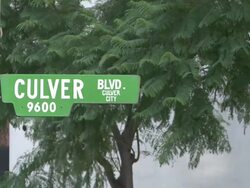 MS Sign of Culver blvd street in Culver city / Los Angeles, California, United States Stock Footage