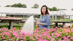 Confident plant nursery employee waters flowers Stock Footage