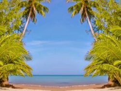 Gate to beach Stock Footage